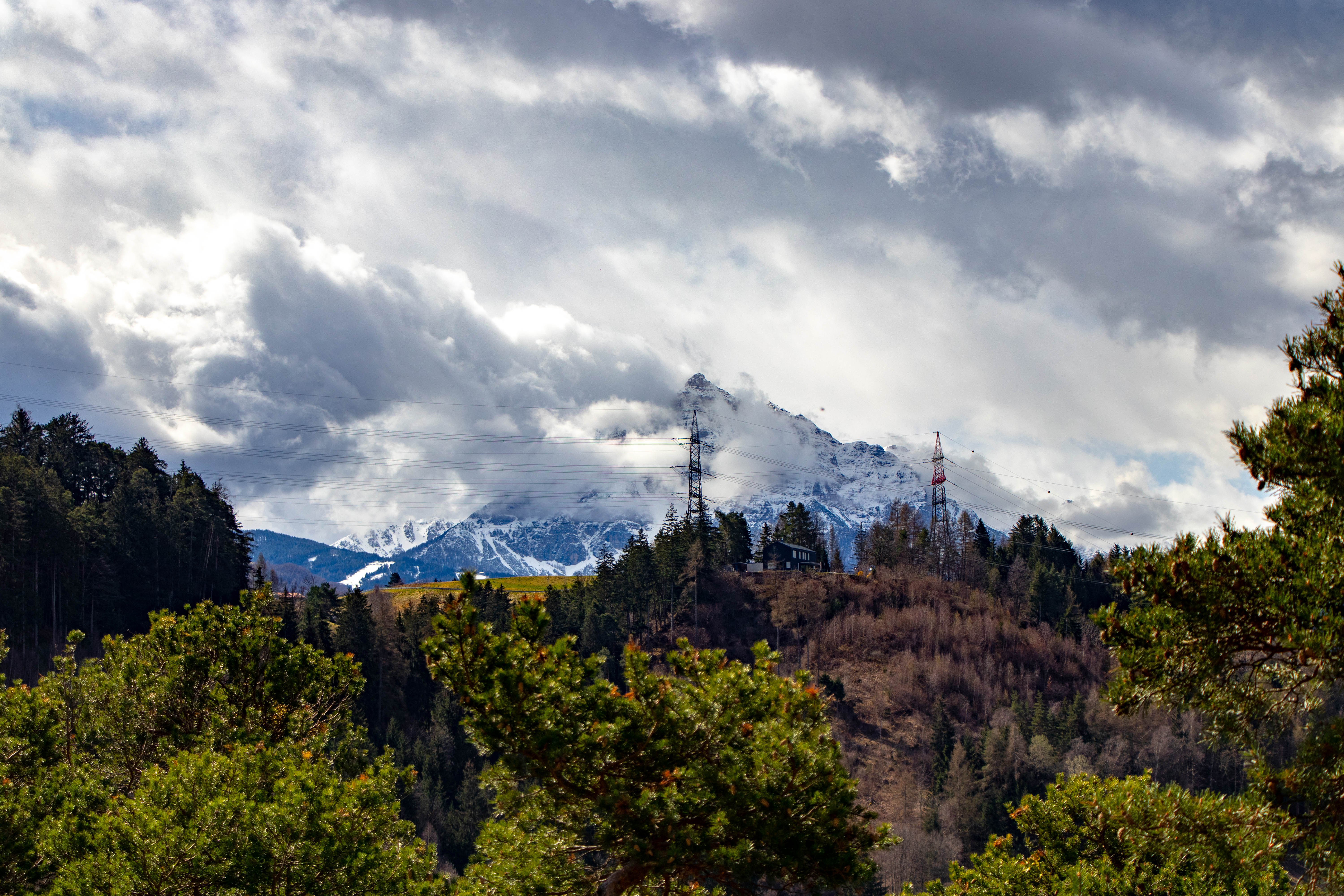 IMG_9675.jpg