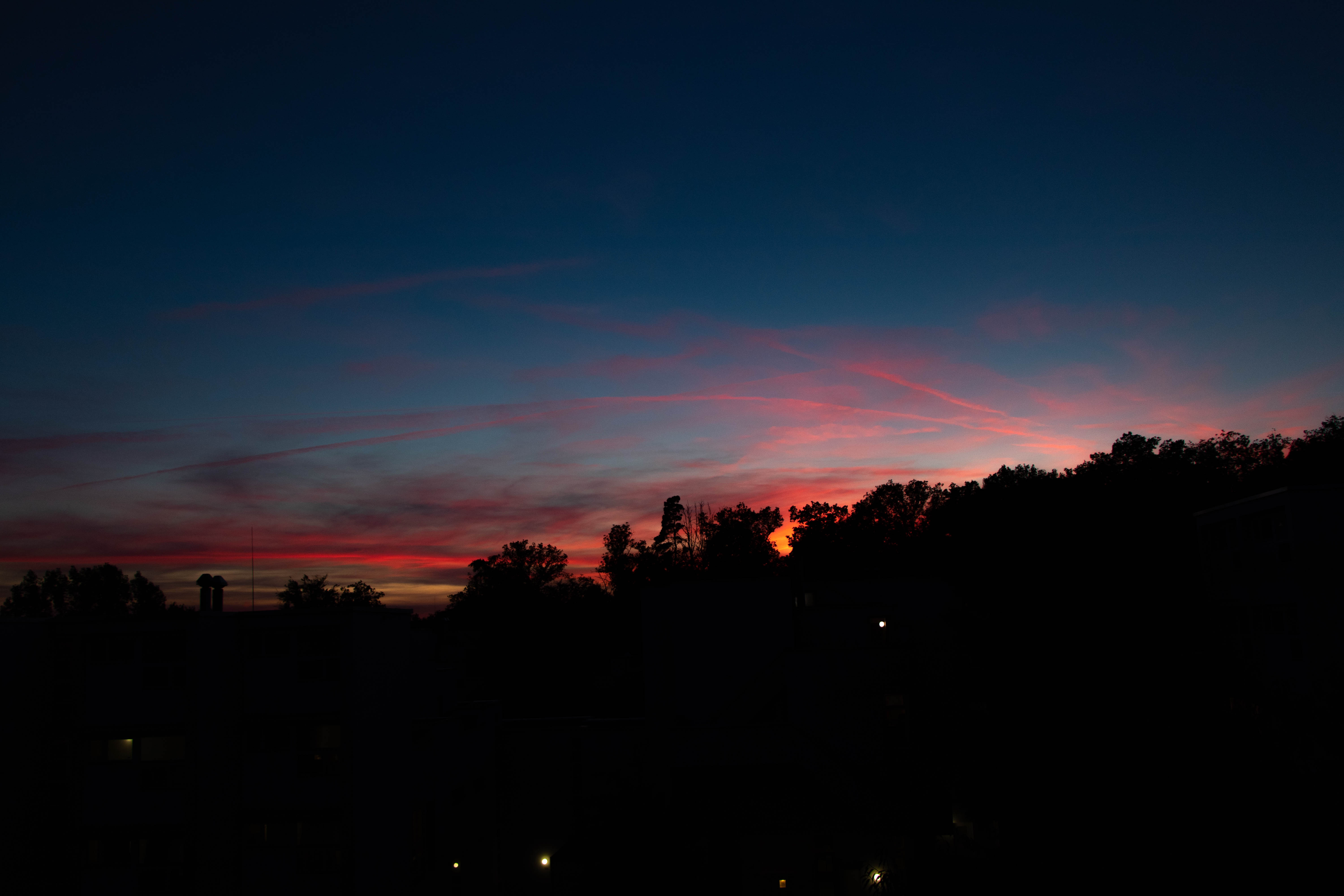 IMG_5658.jpg