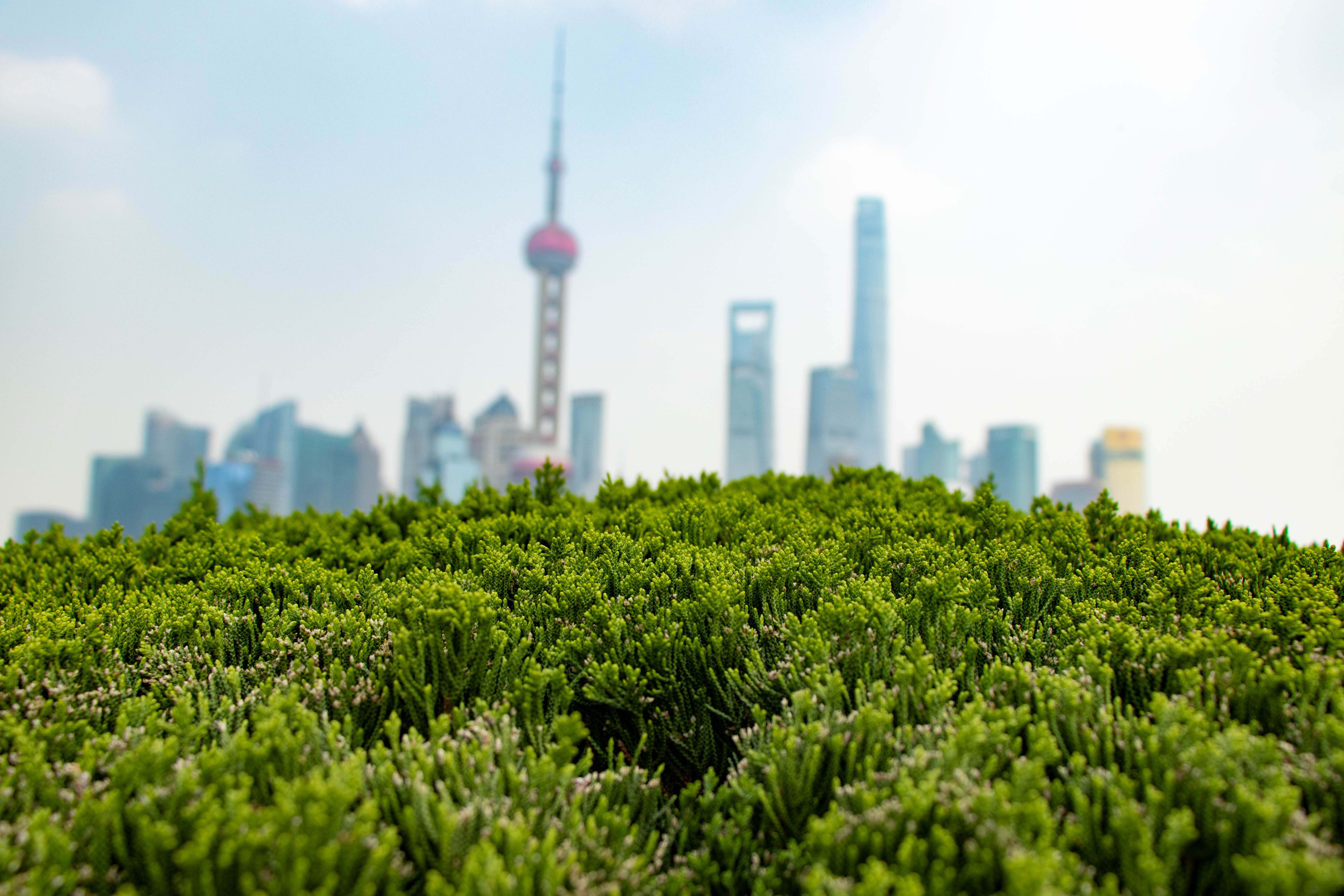 China